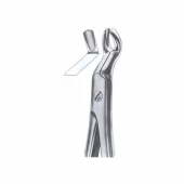 Extarcting Forceps
